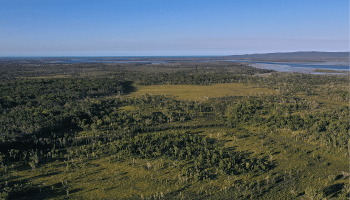 Aerial view of a forested landscape with a distant water body under a clear blue sky