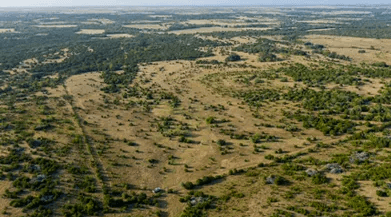 Aerial view from a drone of a dry, grassy landscape with scattered trees, shrubs and dirt roads