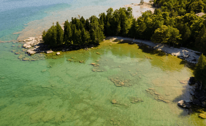Aerial view of a forested peninsula with a rocky shore and turquoise, clear water