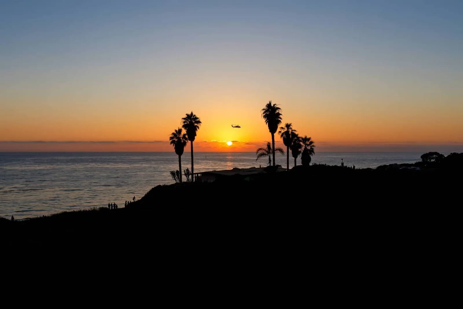 Sunset over the ocean with silhouetted palm trees and a helicopter near the sun