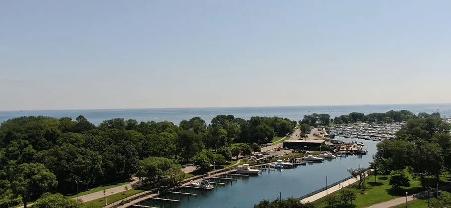 Aerial view of a marina with boats docked along piers, surrounded by trees and a park