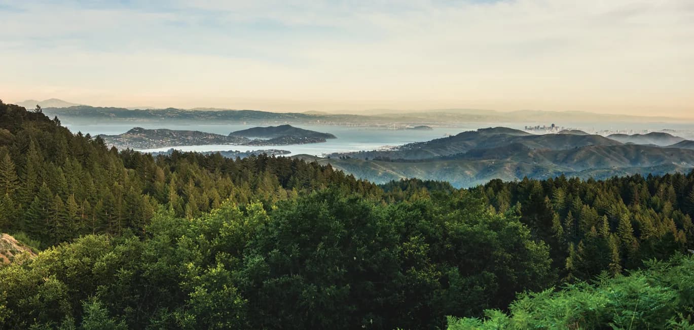 Forested hills in foreground, bay with islands and distant city skyline on the horizon