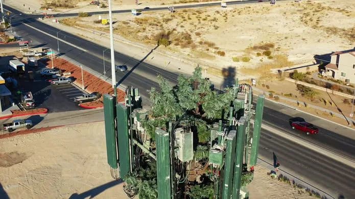 Aerial view of a tall cactus sculpture with green vertical panels around a central tree beside a road