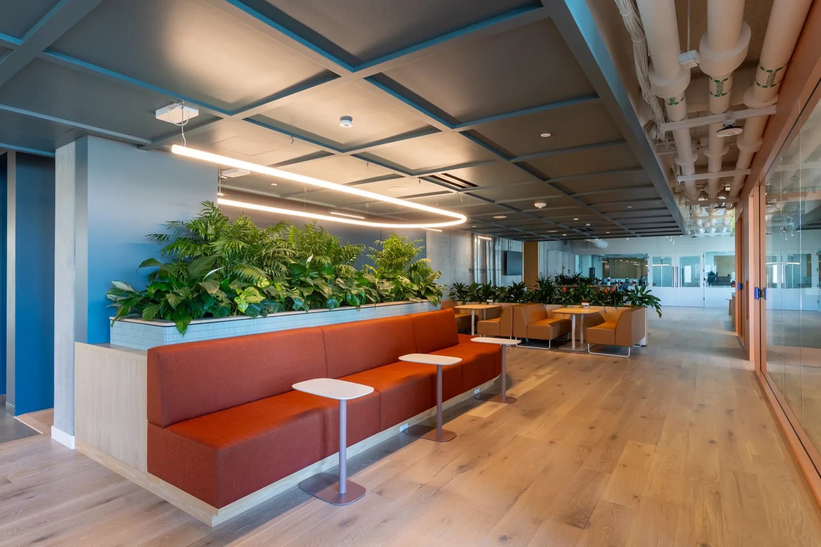 Long orange couch with small white tables, green plants, blue wall, wooden floor, exposed ceiling pipes