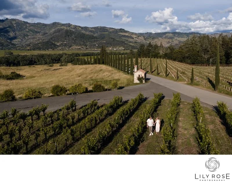 Aerial vineyard view with a couple walking between rows, a small building beside road, mountains behind logo