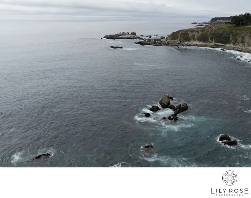 Aerial view of a rocky coastline with waves around jagged rocks and a tree-covered bluff along the shore