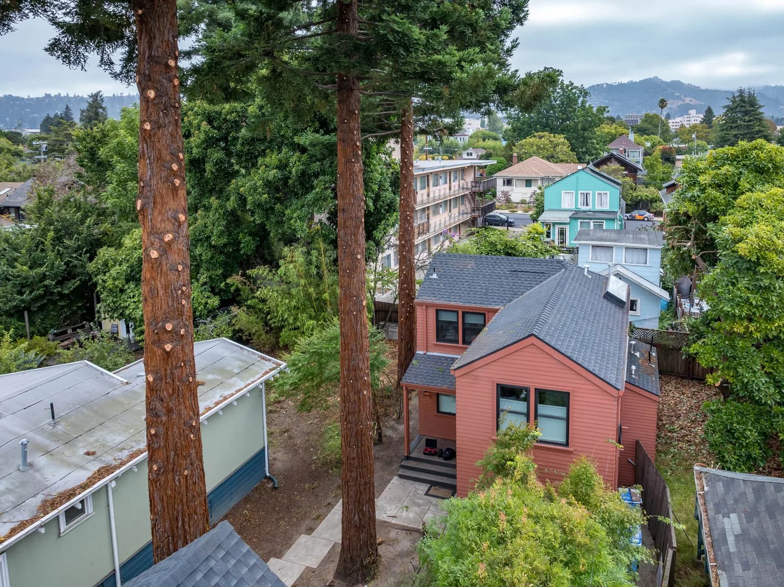 Aerial view of a residential neighborhood with two tall pine trees in foreground and pastel-colored houses