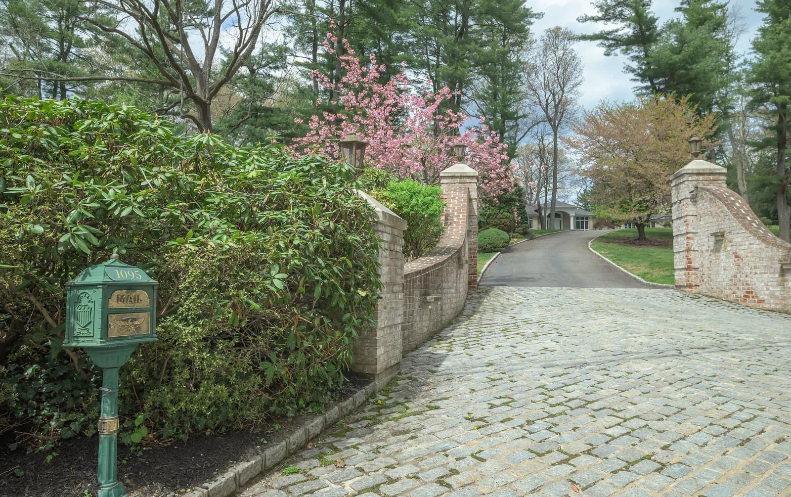 Green mailbox on a post beside a hedge, pink flowering trees behind a brick wall and curved driveway