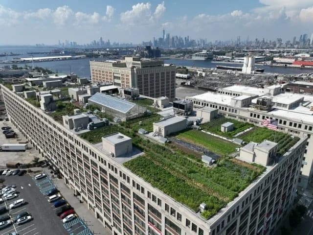 Aerial view of a large rectangular building with green rooftop gardens and a distant skyline over water