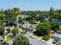 Aerial view of a neighborhood with houses, trees and cars along a street, tall palm in left foreground