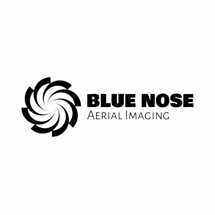 Logo featuring a black circular spiral emblem on the left and the text Blue Nose Aerial Imaging on the right