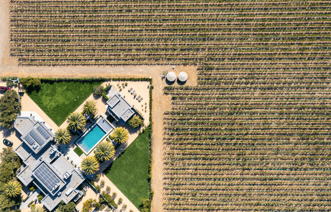 Aerial view of a modern house with a rectangular pool, palm trees, and lawn beside vineyard rows