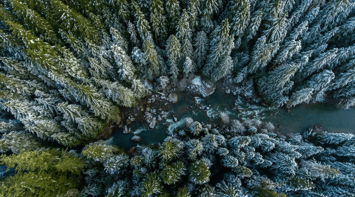Aerial view of a snow-covered evergreen forest with a winding river and rocks
