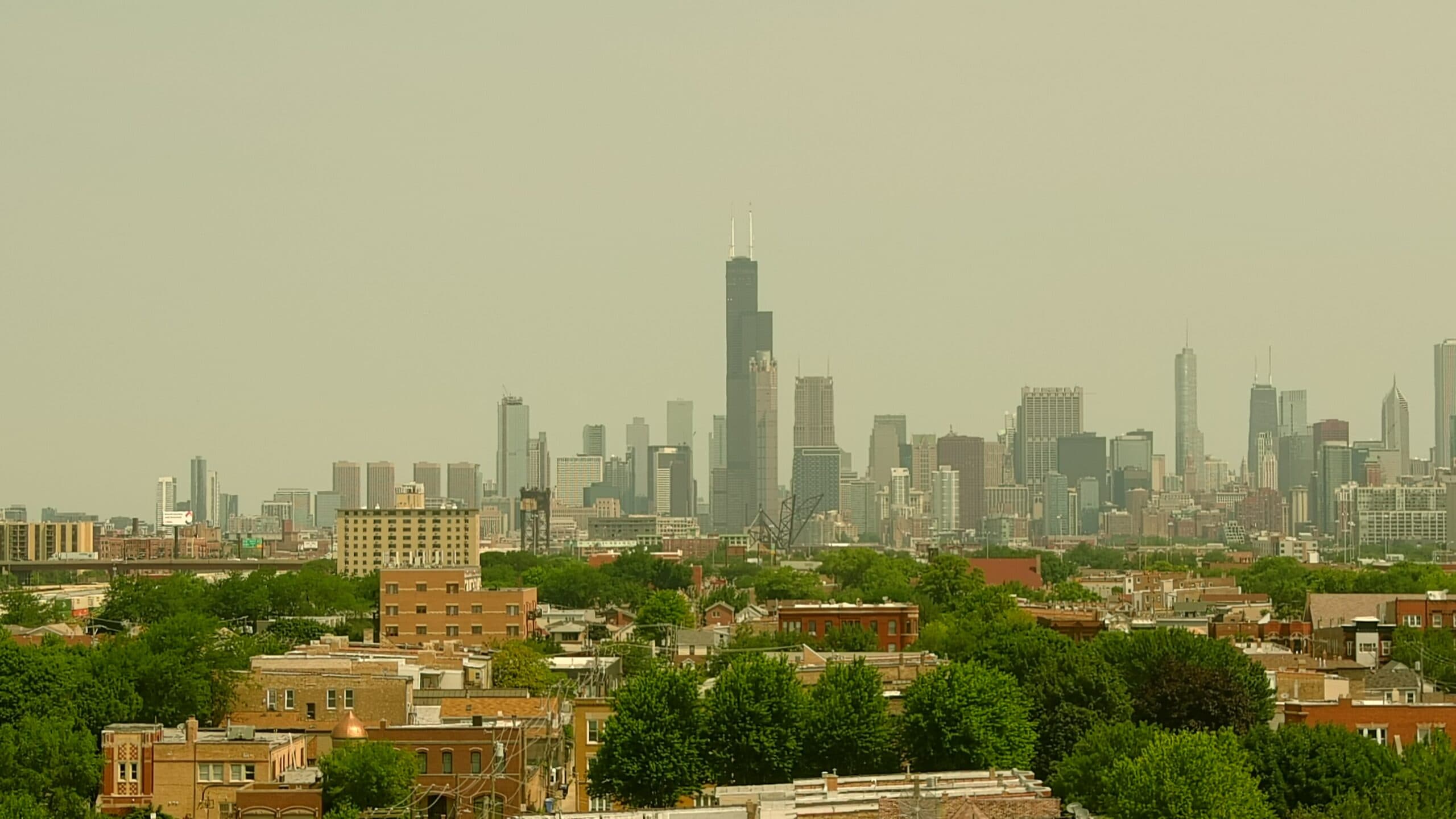 City skyline with a tall central skyscraper and surrounding low-rise buildings, trees in foreground