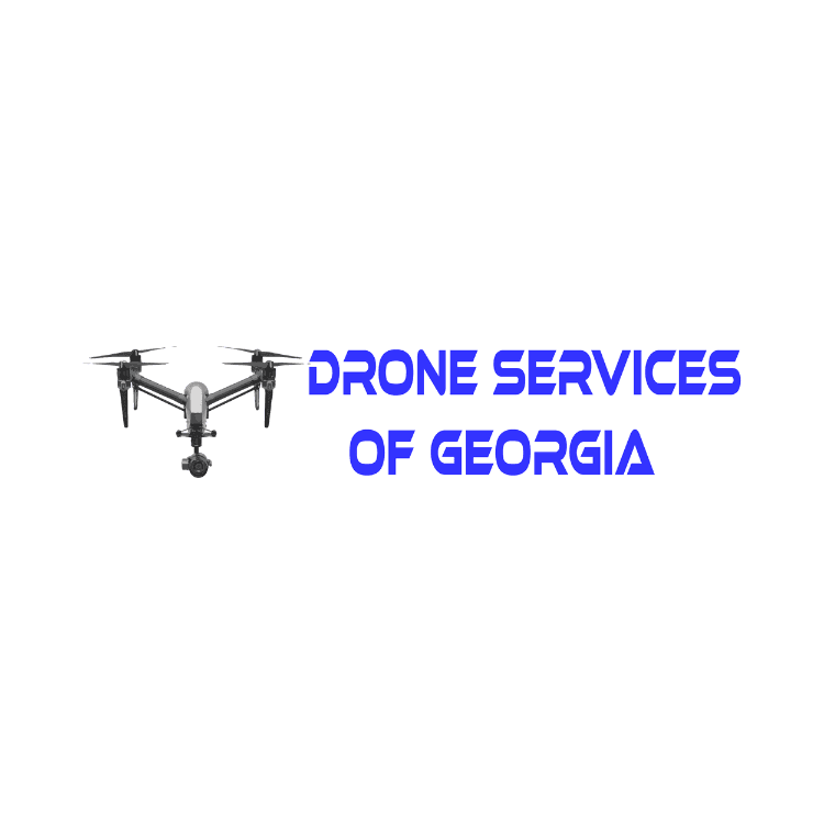 Logo featuring a drone with camera on the left and blue stylized text reading Drone Services of Georgia