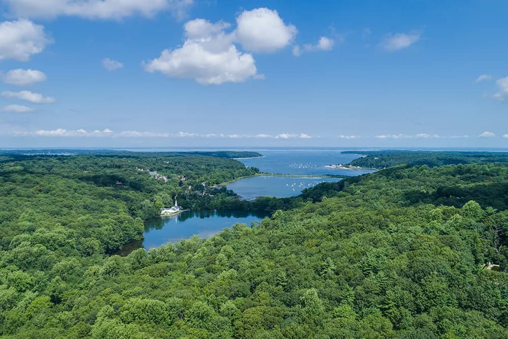 Aerial view of a dense green forest surrounding a winding waterway and lake with several boats