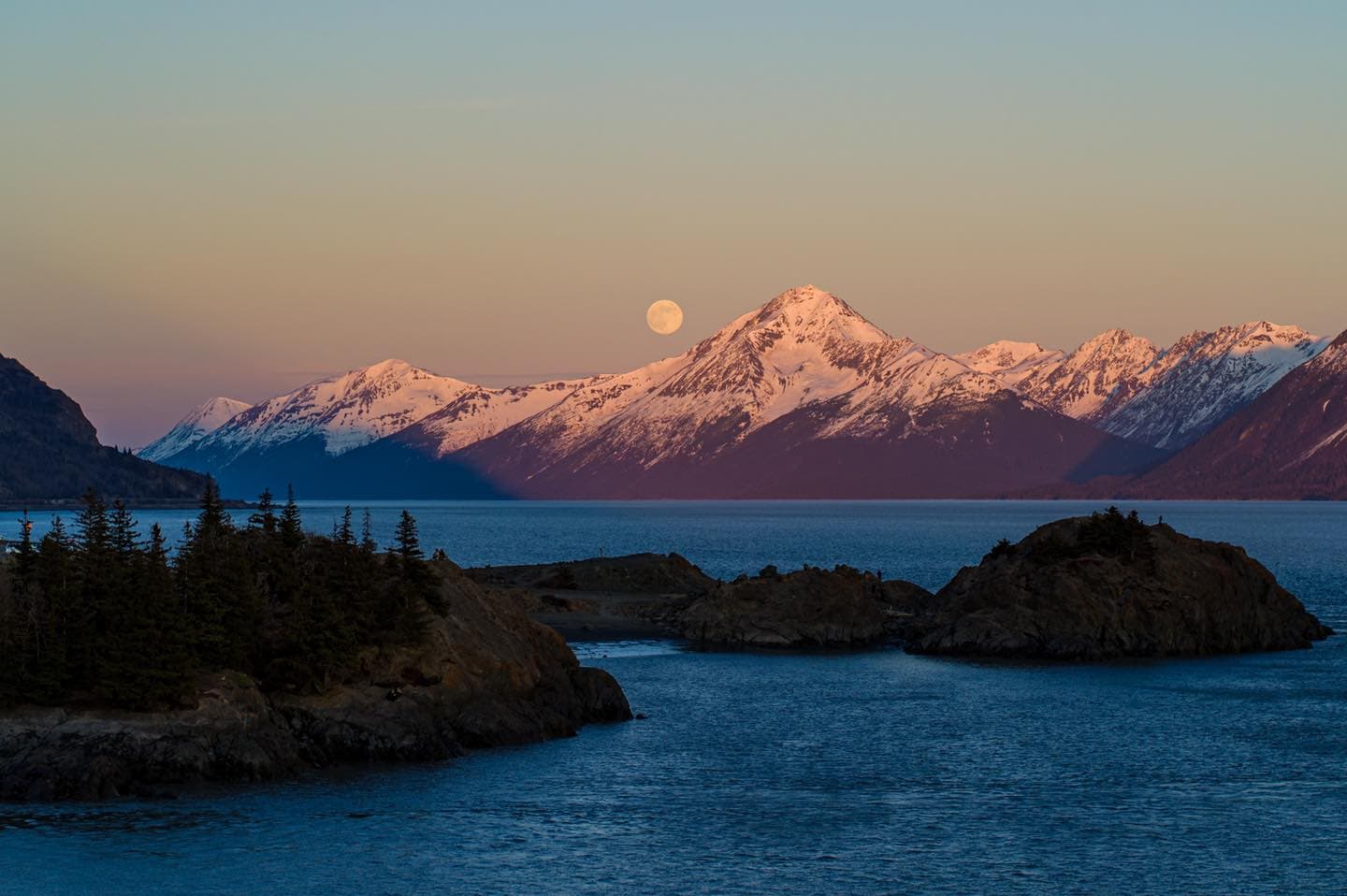 Snowy mountain range at dusk over a blue lake with pine trees on the rocky foreground and a rising moon