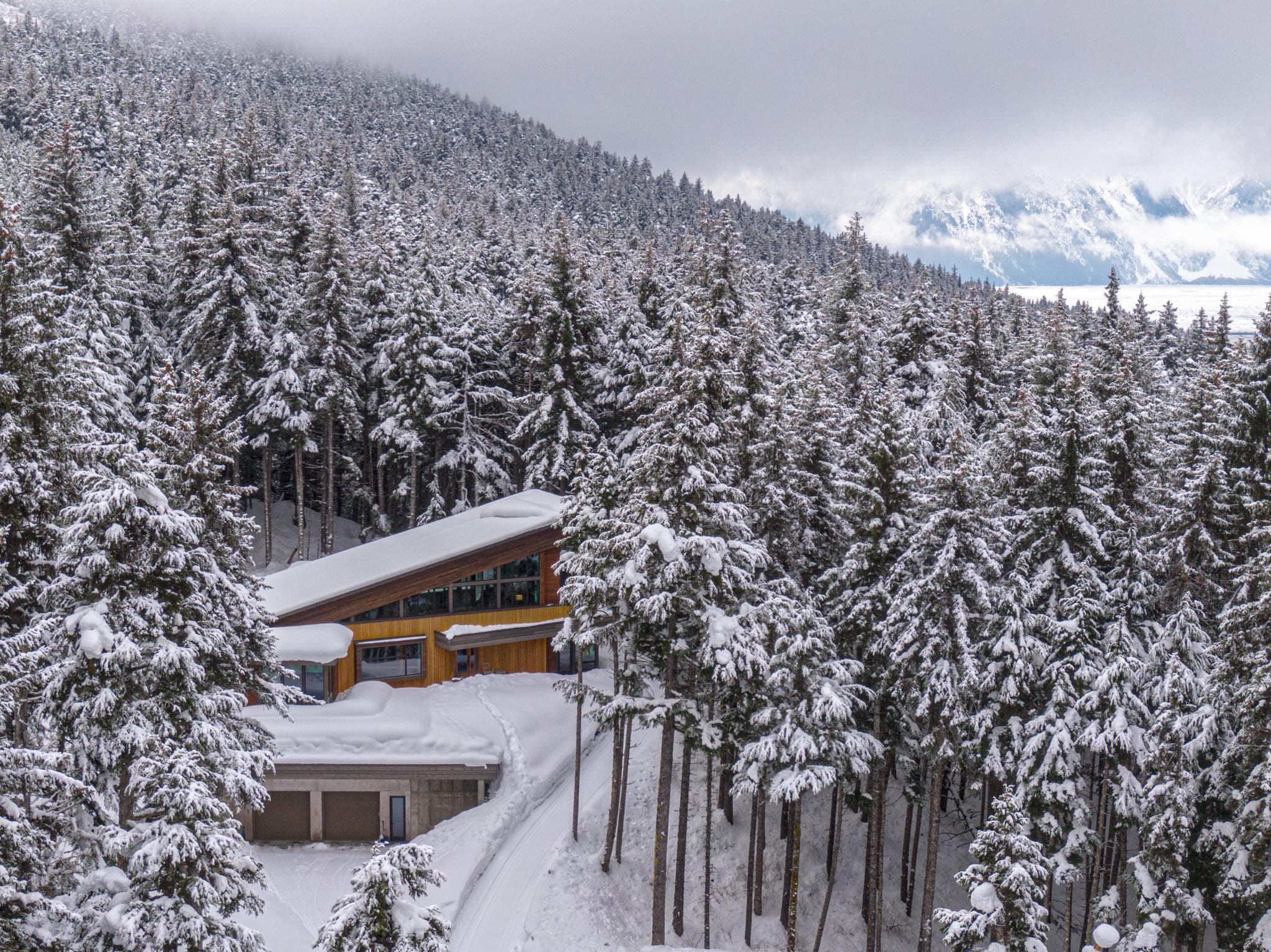 Snow-covered evergreen forest on a mountainside with a wooden lodge in the foreground