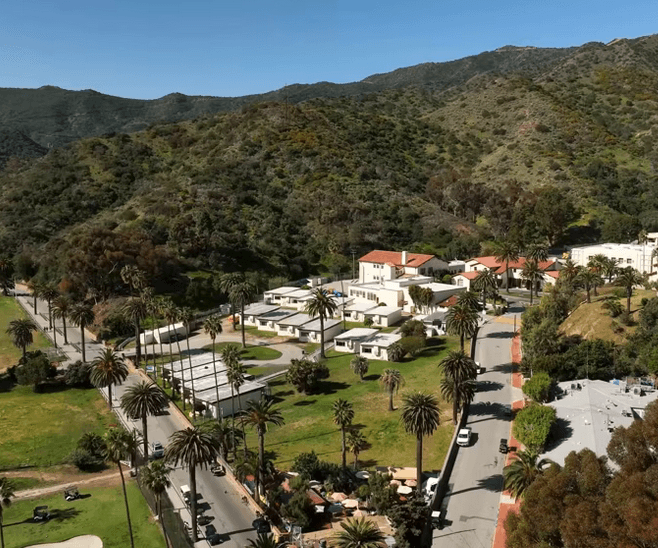 Aerial view of a hillside neighborhood with palm trees, white houses and winding streets