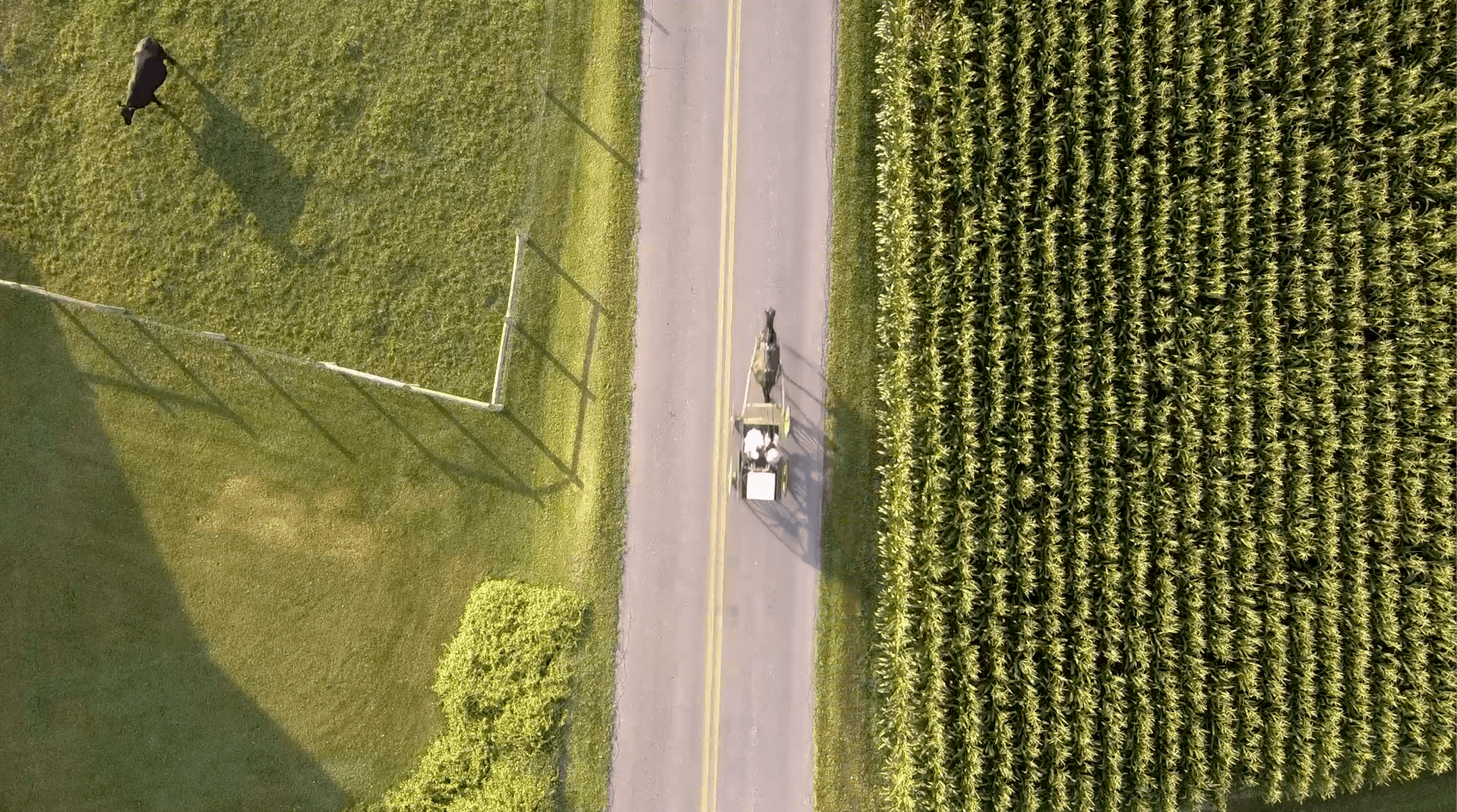 Aerial view of a road with a horse-drawn cart, grassy field on left, cornfield on right