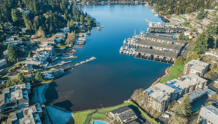 Aerial view of a lakeside neighborhood with marinas, boats, and docks along blue water