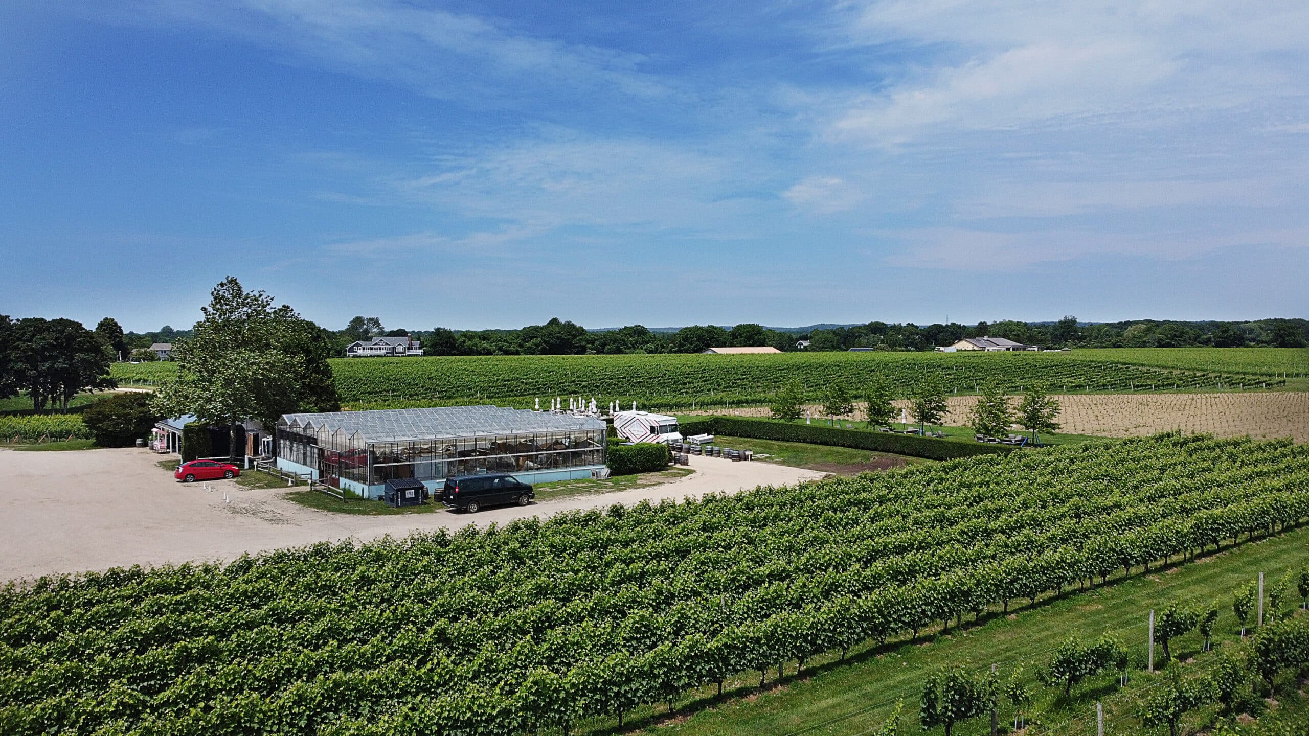 Aerial view of a vineyard with rows of vines, a greenhouse, parked cars, and blue sky